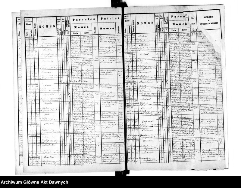 image.from.unit.number "Parafia: Mikulińce. Dekanat: Trembowla. Księga metrykalna urodzeń, ślubów i zgonów dla miasta Mikulińce i wsi: Konopkówka, Krzywki, Łuczka, Wola Mazowiecka, Ładyczyn*, Ludwikówka*, Myszkowice**, Czartorja**, Łuka Wielka**."