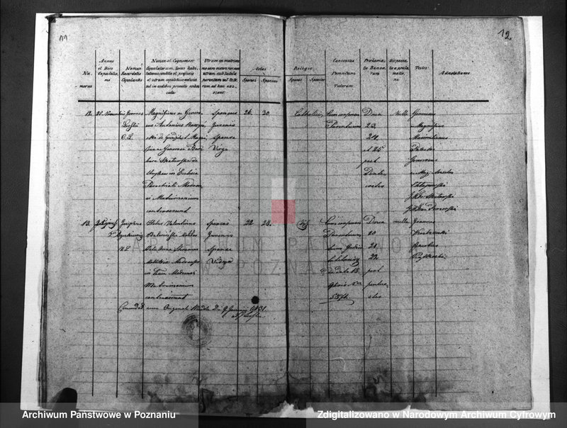 image.from.unit.number "Duplicatus baptisatorum, copulatorum, mortuorum"