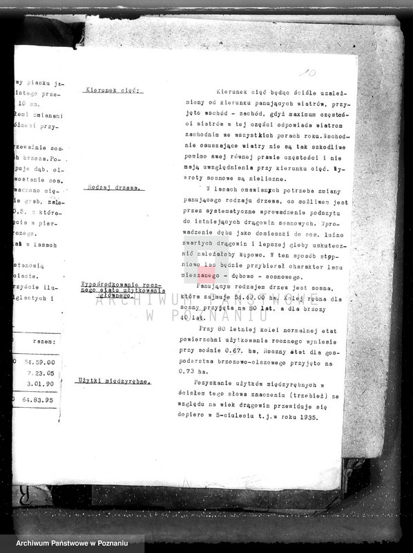 Obraz 14 z jednostki "Nadzór nad gospodarką w lasach majątku Lubinia-Wielka w powiecie jarocińskim"