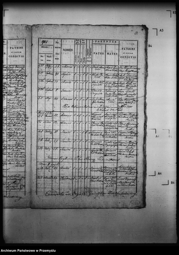 Obraz 7 z jednostki "[Kopie ksiąg metrykalnych parafii Powroźnik (dekanat Muszyna)]"