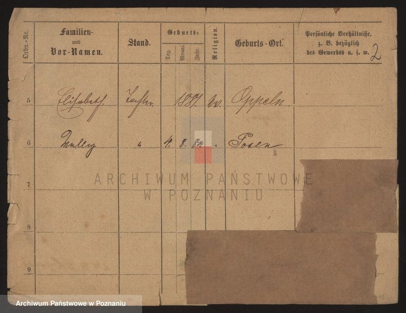 Obraz 7 z jednostki "Szewe - Szikula"