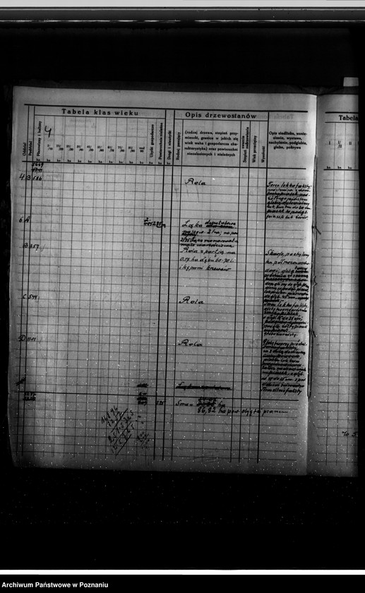 Obraz 8 z jednostki "Dodatkowy plan urządzenia gospodarstwa leśnego dla lasu majątku Kociałkowa-Góra powiat poznański na 10 lat"