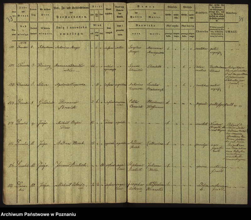 Obraz 20 z jednostki "Księga zgonów"