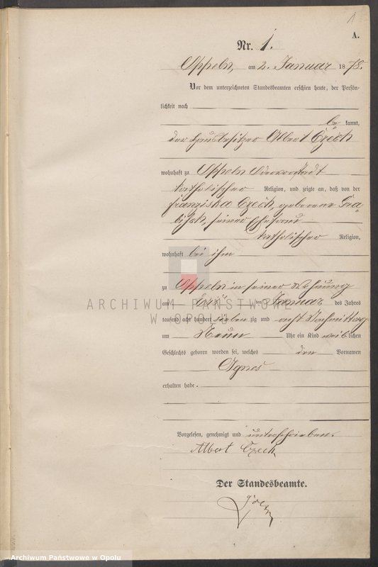 Obraz 5 z jednostki "Urząd Stanu Cywilnego w Opolu 1878 Rejestr Urodzeń Księga Miejscowa Nr 1 do 487"