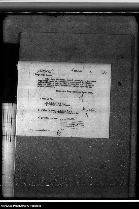 Obraz 6 z jednostki "Leśnictwo w Godurowie powiat gostyński"