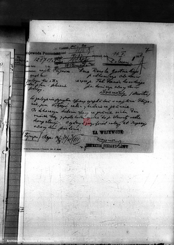 Obraz 11 z jednostki "Nadzór nad gospodarką w lasach majętności Plugawice powiat kępiński"