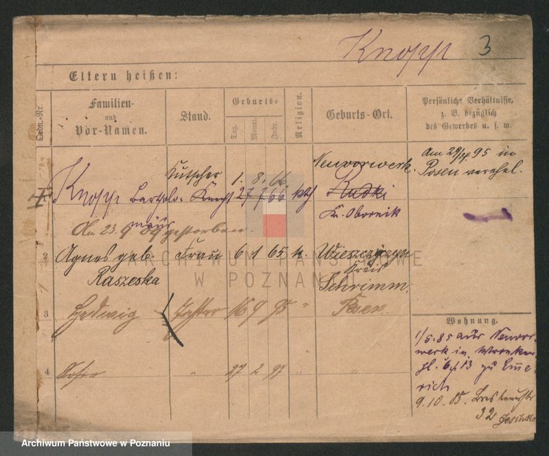 Obraz 3 z jednostki "Knop - Knytel"