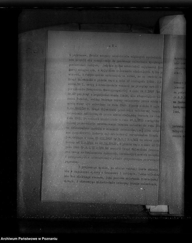 Obraz 7 z jednostki "Sprawa zalesienia majątku Krucz-Goraj"