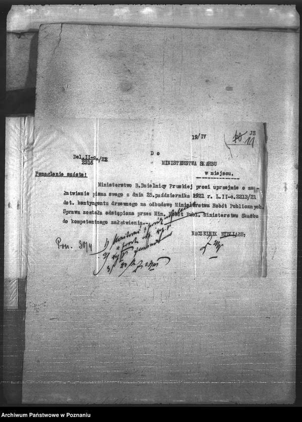 Obraz 14 z jednostki "Leśnictwo"