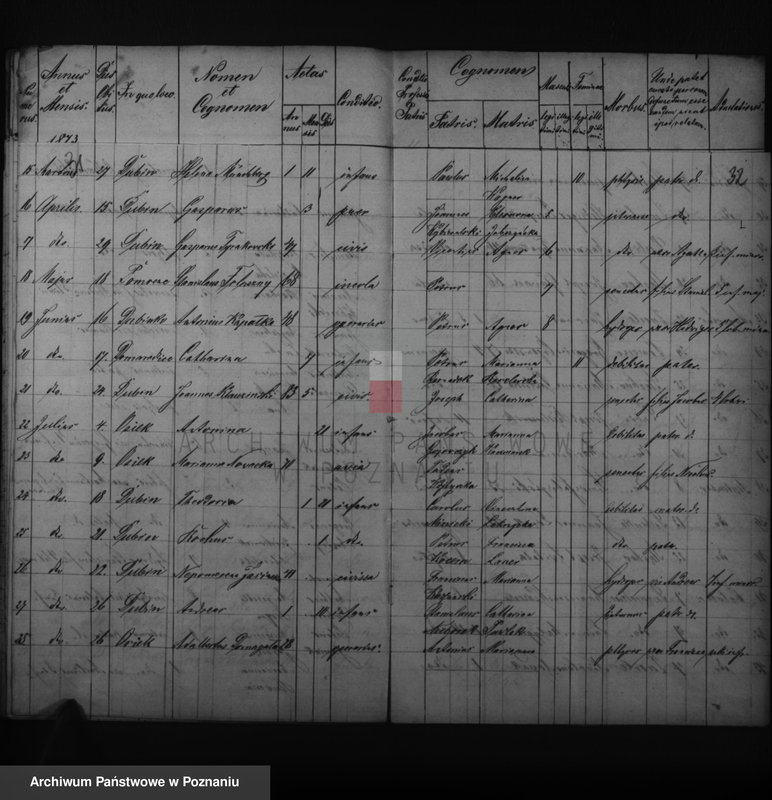 image.from.unit.number "Duplikatus baptisatorum, copulatorum, mortuorum"