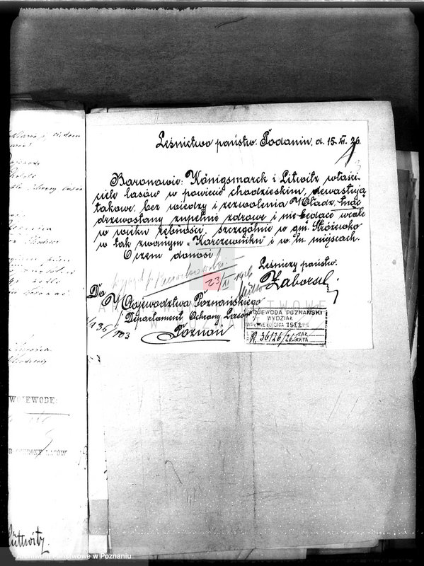 Obraz 7 z jednostki "Majętność leśna Oleśnica w powiecie chodzieskim"