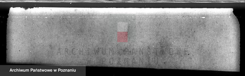 Obraz 9 z jednostki "Las majątku Lipowiec powiat krotoszyński"