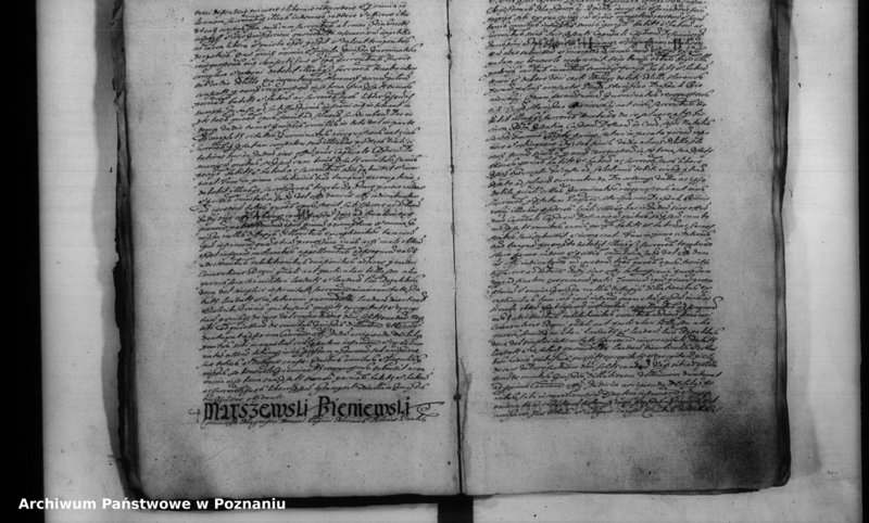 Obraz 20 z jednostki "Inscriptiones [inducta]"