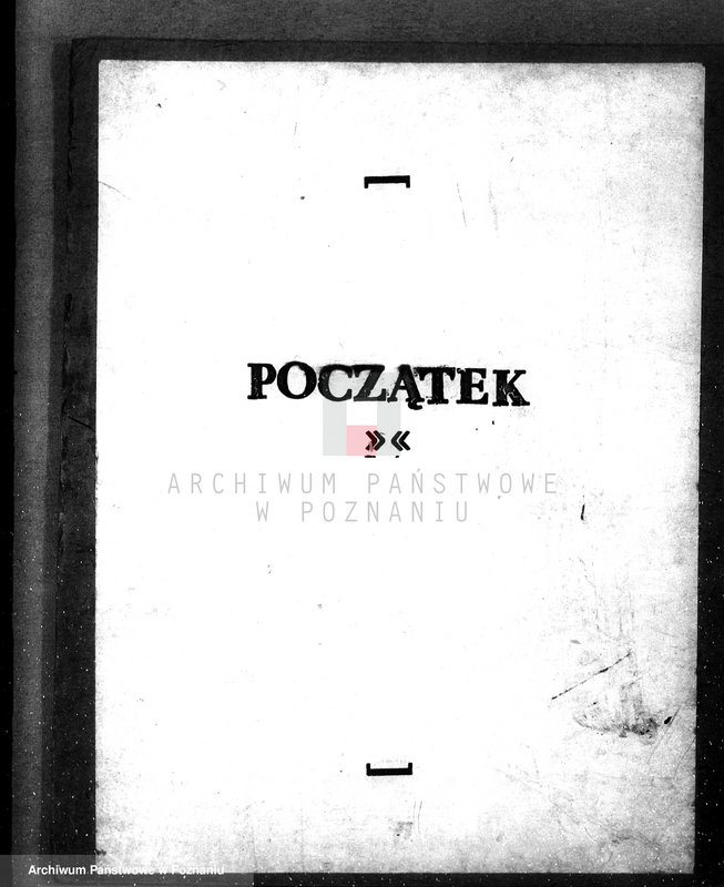 Obraz 3 z jednostki "Majętność leśna Oleśnica w powiecie chodzieskim"