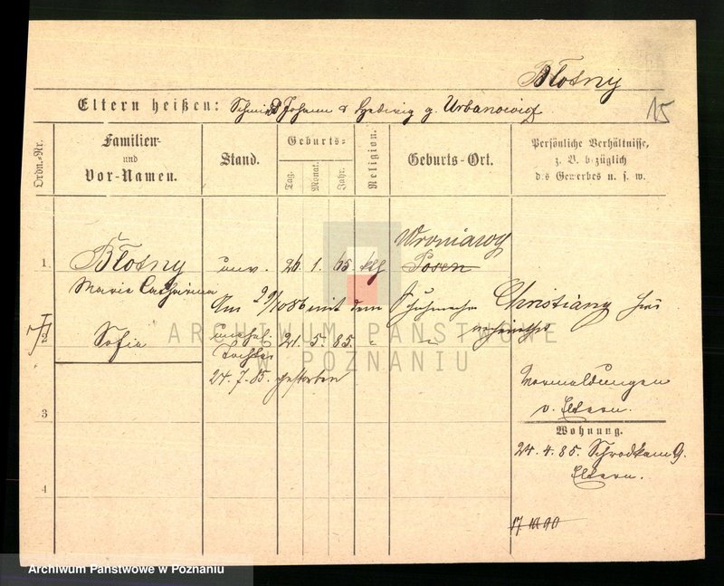 Obraz 17 z jednostki "Bloch - Blume"