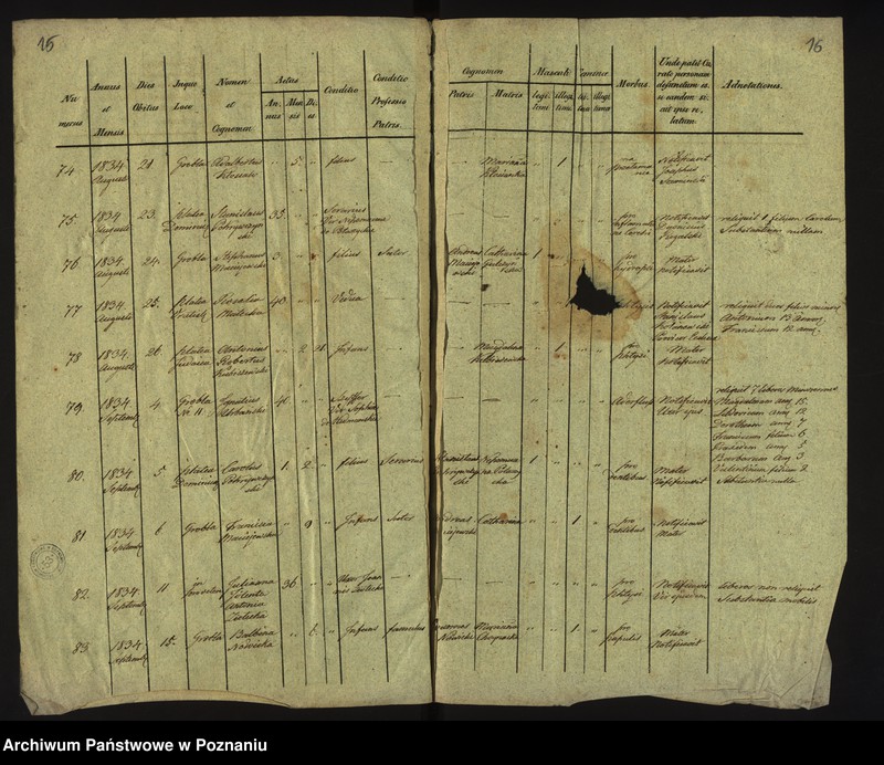 Obraz 11 z jednostki "Księga zgonów"