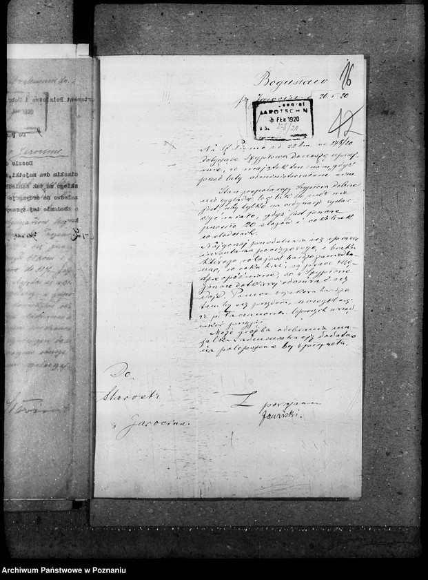 Obraz 20 z jednostki "Majątki zaniedbane"