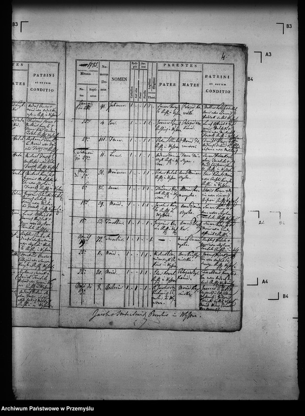 Obraz 8 z jednostki "[Kopie ksiąg metrykalnych parafii Wysowa z filią Blechnarka (dekanat Gorlice)]"