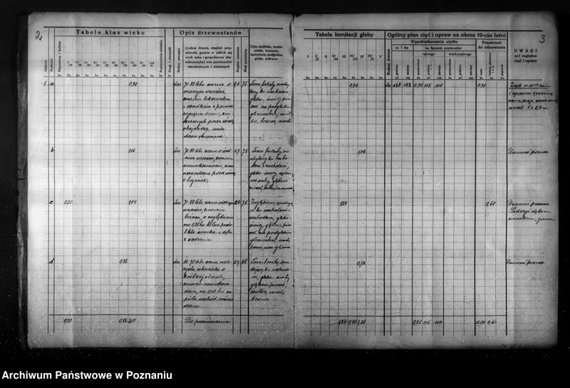Obraz 6 z jednostki "Plan gospodarstwa leśnego dla lasu Jaegera Waltera gmina Zatom Nowy powiat międzychodzki 1933-1944"
