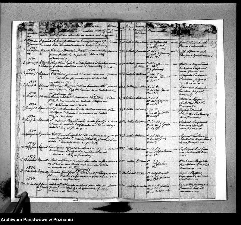 Obraz 15 z jednostki "Duplicat baptisatorum, copulatorum, mortuorum"