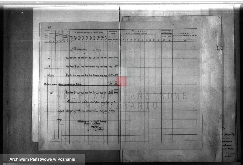 Obraz 20 z jednostki "Majątek Lutom w powiecie międzychodzkim 1930-1940 Plan urządzenia gospodarstwa leśnego"
