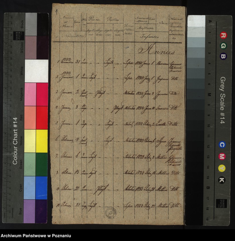 Obraz 3 z jednostki "Duplikatus Librorum Metrices Baptisatorum, Copulatorum et Mortuorum"