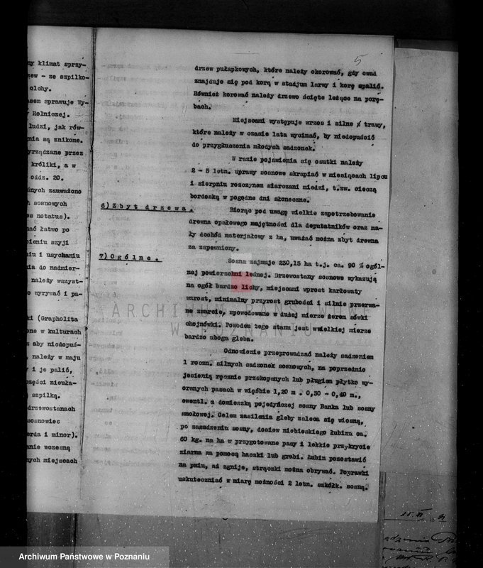 Obraz 9 z jednostki "/Nadzór nad lasami/ majątku Gębice powiatu czarnkowskiego"