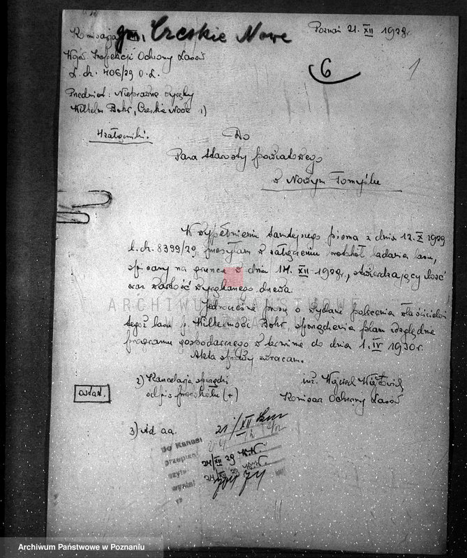 Obraz 5 z jednostki "/Różne sprawy leśne, protokóły badania gospodarki leśnej/"