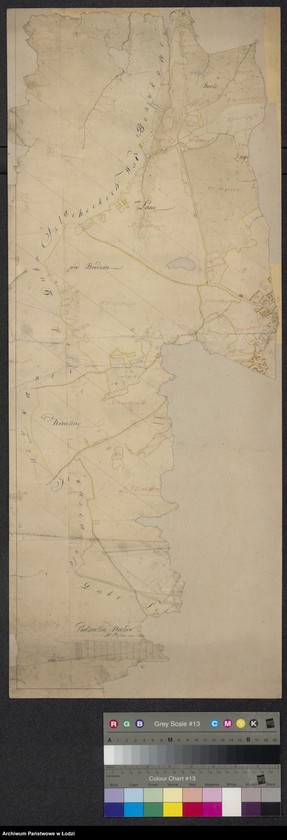 Obraz 1 z jednostki "Fragment mapy wsi Borzykowa"