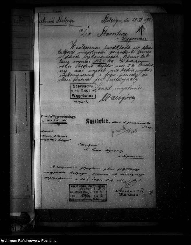 Obraz 5 z jednostki "Majętność leśna Stołężyn powiat wągrowiecki"