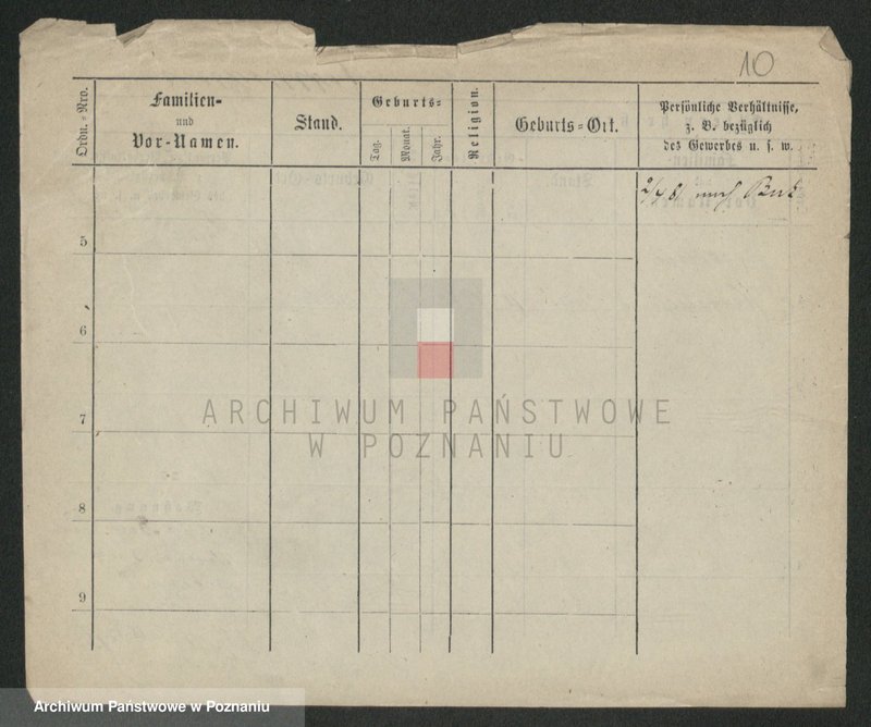 Obraz 10 z jednostki "Herman - Hermyła"