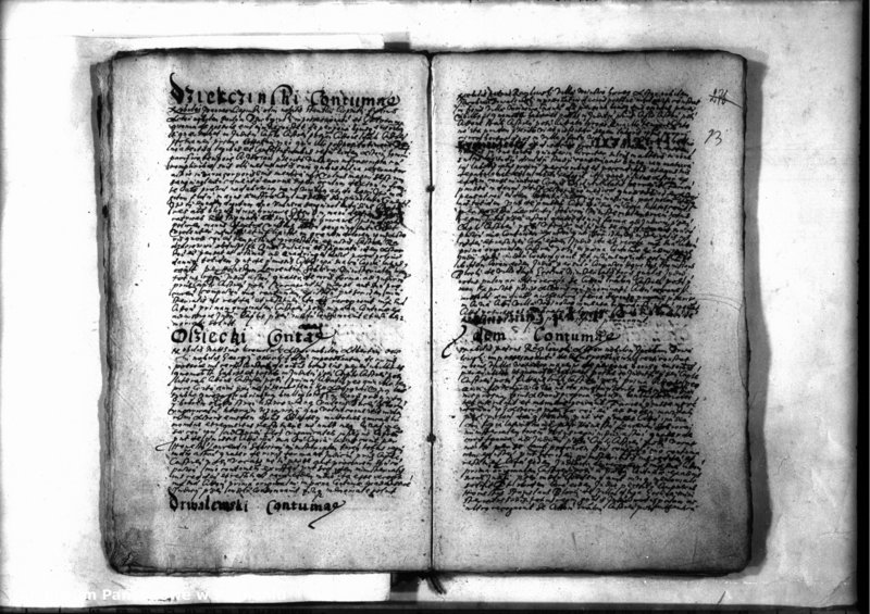 Obraz 15 z jednostki "Decreta iudicii [inducta]"