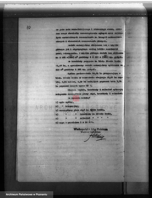 Obraz 14 z jednostki "Majątek Lutom w powiecie międzychodzkim 1930-1940 Plan urządzenia gospodarstwa leśnego"