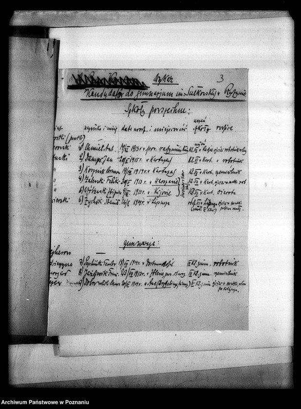 Obraz 7 z jednostki "Prywatne Gimnazjum imienia Sułkowskich- Rydzyna"