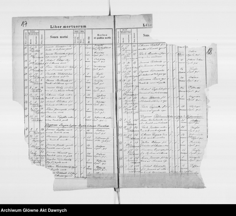 image.from.unit.number "Parafia: Sokołówka. Dekanat: Świrz. Kopie z ksiąg metrykalnych ur., śl., zg. dla całej parafii."