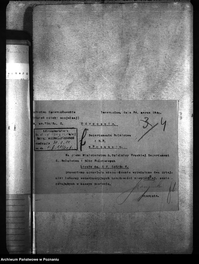 Obraz 8 z jednostki "[weterynarze narodowości niemieckiej]"