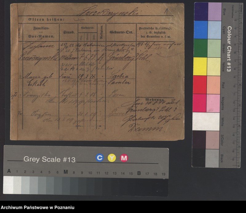 Obraz 6 z jednostki "Szczodrzyński - Szefer (żony i wdowy)"