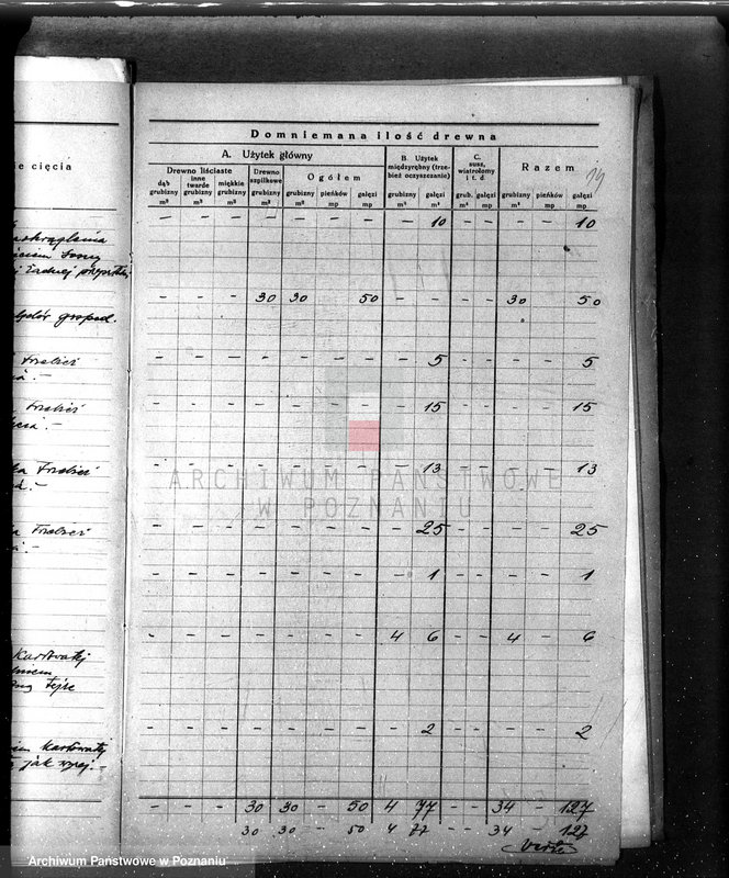 Obraz 18 z jednostki "/Nadzór nad gospodarką leśną gminy miasta Czarnkowa"
