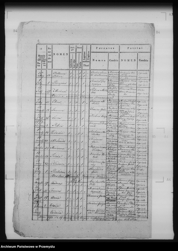 Obraz 9 z jednostki "[Kopie ksiąg metrykalnych parafii Bełz z filiami Prusinów, Tuszków, Witków (dekanat Bełz)]"