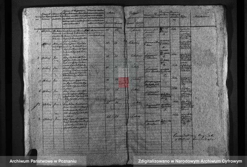 Obraz 8 z jednostki "Duplicatus baptisatorum, copulatorum, mortuorum"