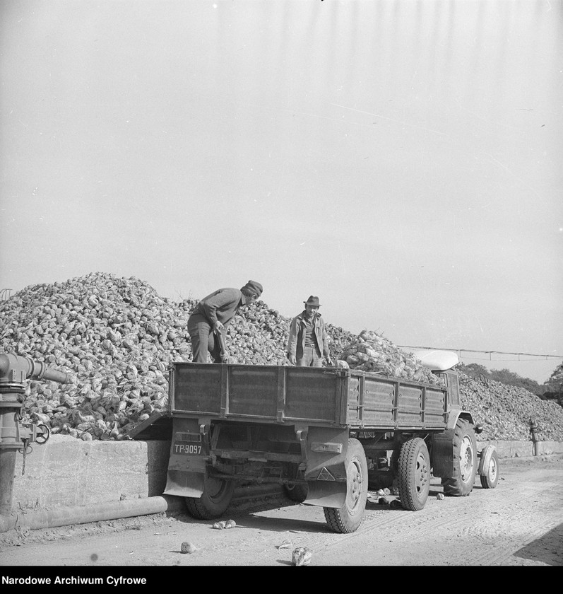 Obraz 6 z jednostki "Cukrownia "Michałów" w Lesznie koło Warszawy"