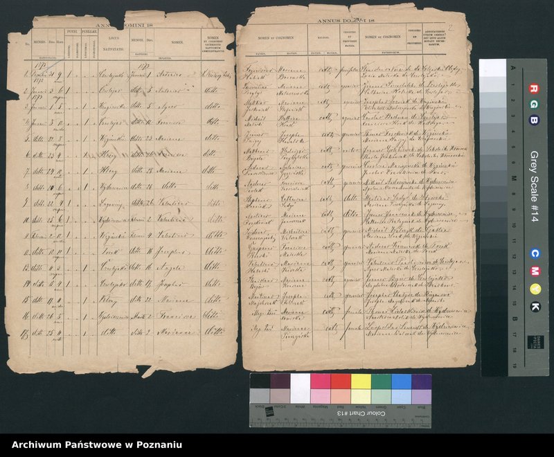 image.from.unit.number "Księga urodzeń"