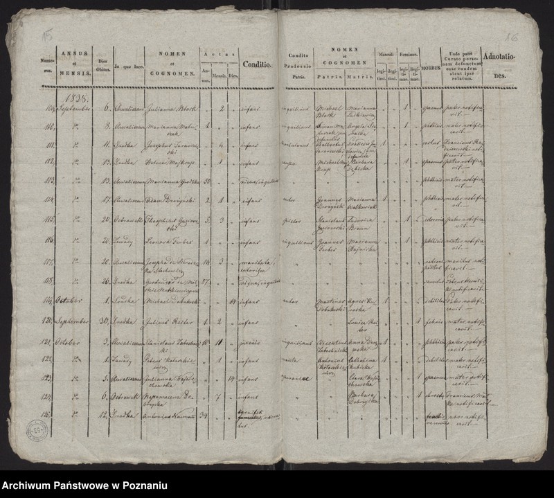 Obraz 10 z jednostki "Spis zgonów"