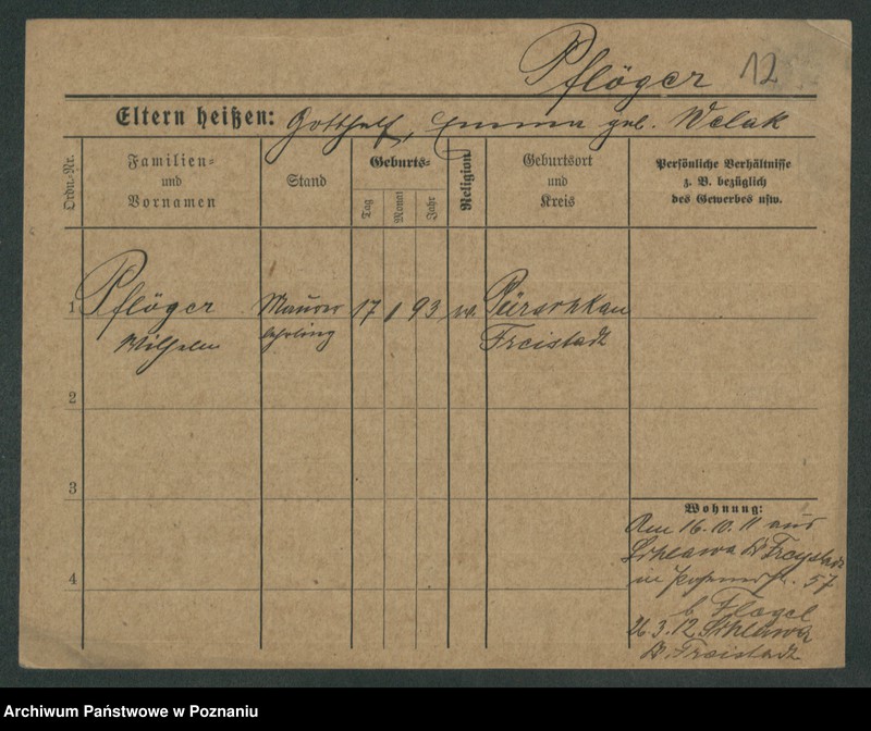 Obraz 14 z jednostki "Pflieger - Piasecki"