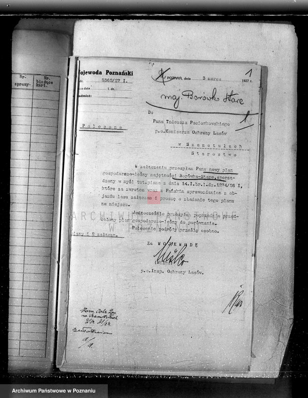 Obraz 5 z jednostki "Majętność Borówko Stare /nadzór nad gospodarką leśną/"