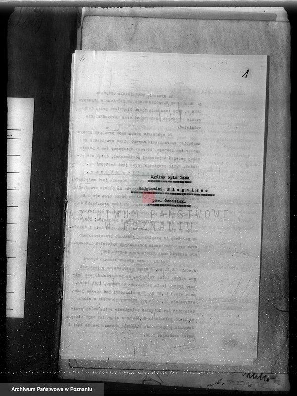 Obraz 5 z jednostki "Plan urządzenia gospodarstwa leśnego dla lasu majątku Niego lewo powiat nowotomyski 1927-1937"