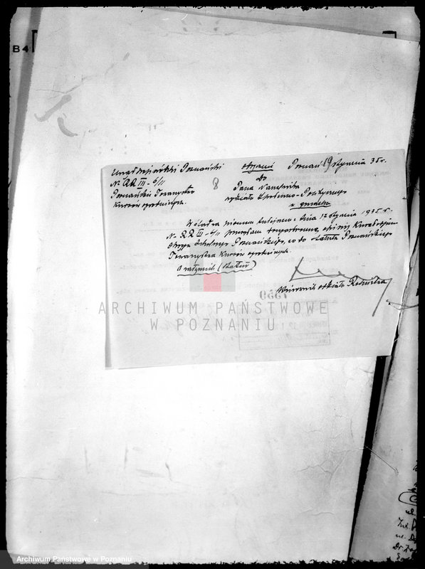 Obraz 13 z jednostki "/Poznańskie Towarzystwo Kursów Ogrodniczych w Poznaniu/"