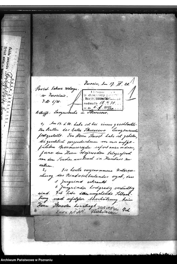 Obraz 5 z jednostki "Zaraza płucna - Jarocin"