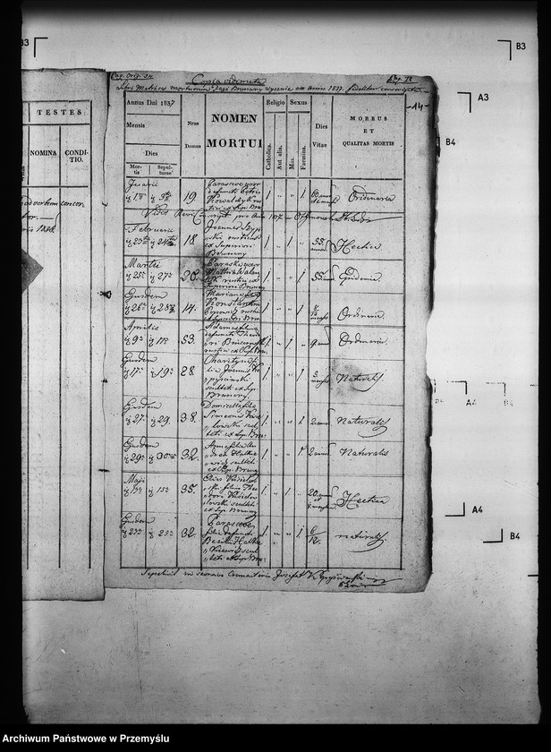 Obraz 18 z jednostki "[Kopie ksiąg metrykalnych parafii Brunary Wyżne z filiami Brunary Niżne, Czarna, Jaszkowa (dekanat Grybów)]"