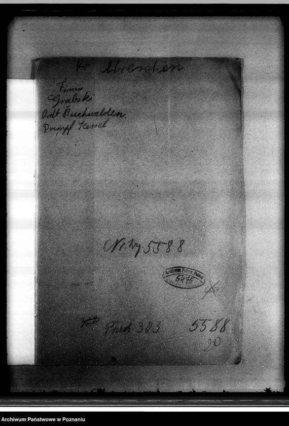 Obraz 4 z jednostki "Majątek Bieganowo powiat wrzesiński własność E. Grabski nr woj. kotła 5588"